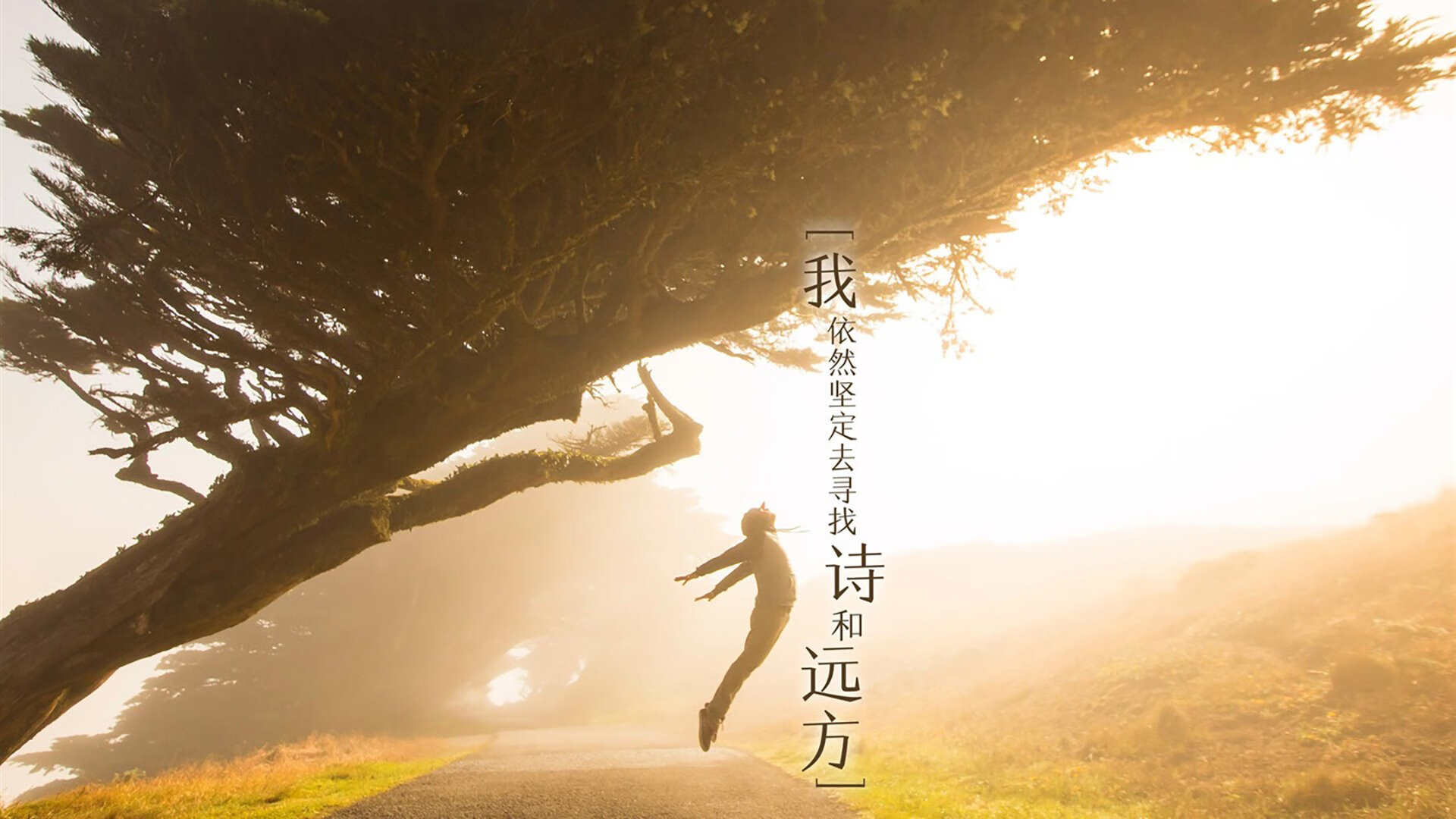 詹姆斯终成胜负手，掌控比赛的气场与传奇时刻