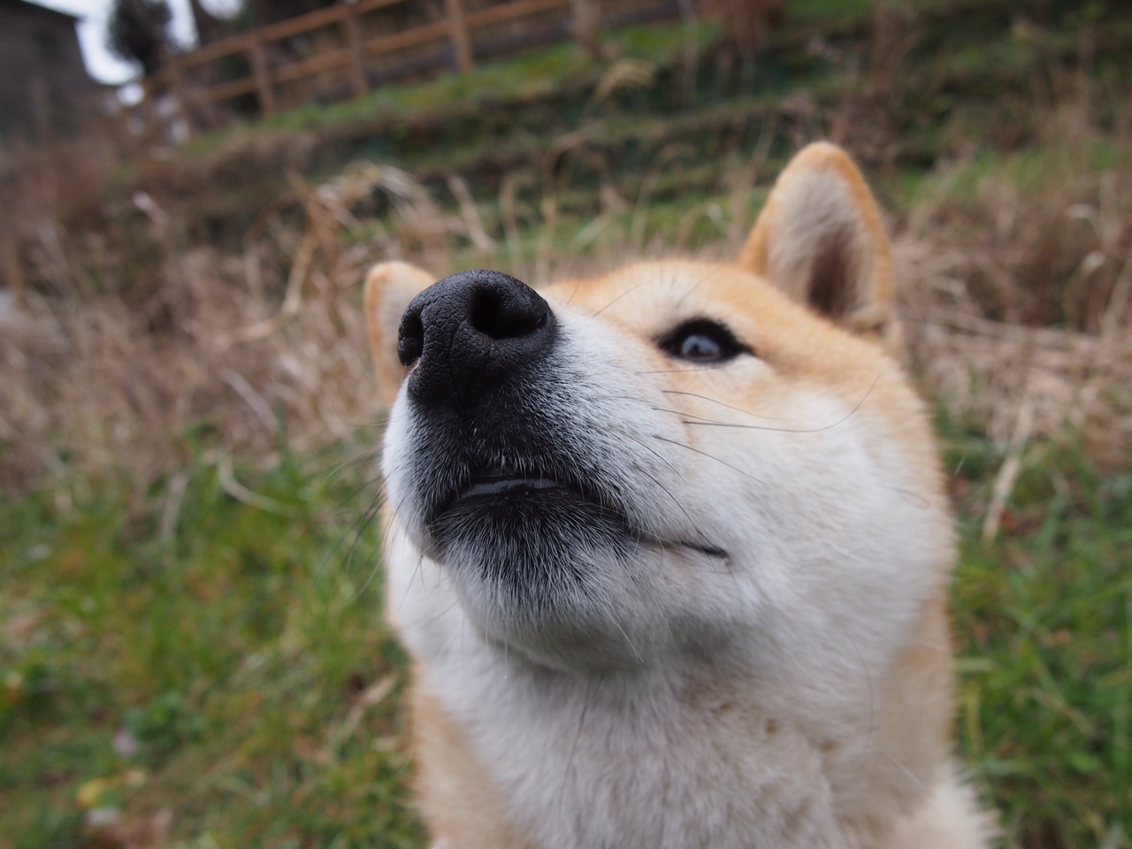节奏的暴君，当金玟哉的防守哲学降临NBA总决赛之夜