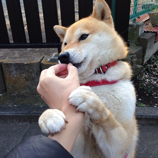 姆巴佩演绎绿茵教科书，切尔西跨过苏格兰考验的冠军启示