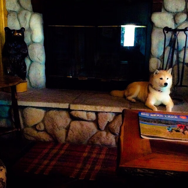 门神降临，2026世界杯决赛夜，奥纳纳封神无争议