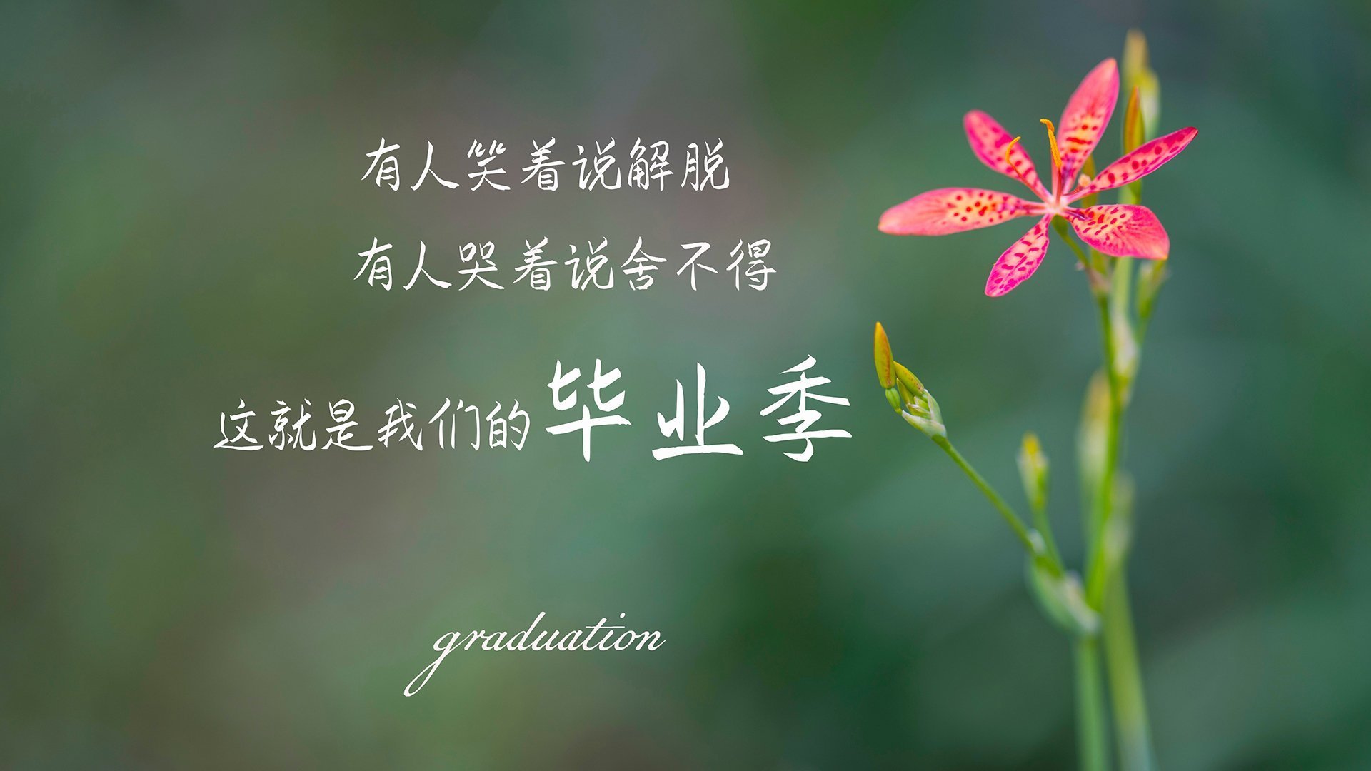 欧冠意志之战，马里铁幕下的基米希交响曲