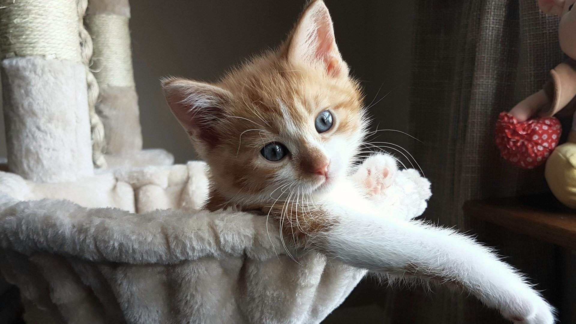 舞台之下，舞台之上，灰熊的体系压制与英格拉姆的闪光时刻