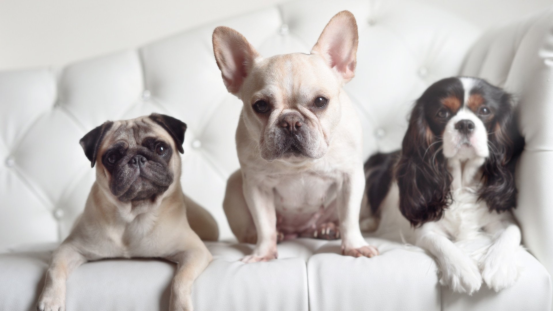 拜仁战术体系赋能德国队，京多安关键先生助阵压制丹麦