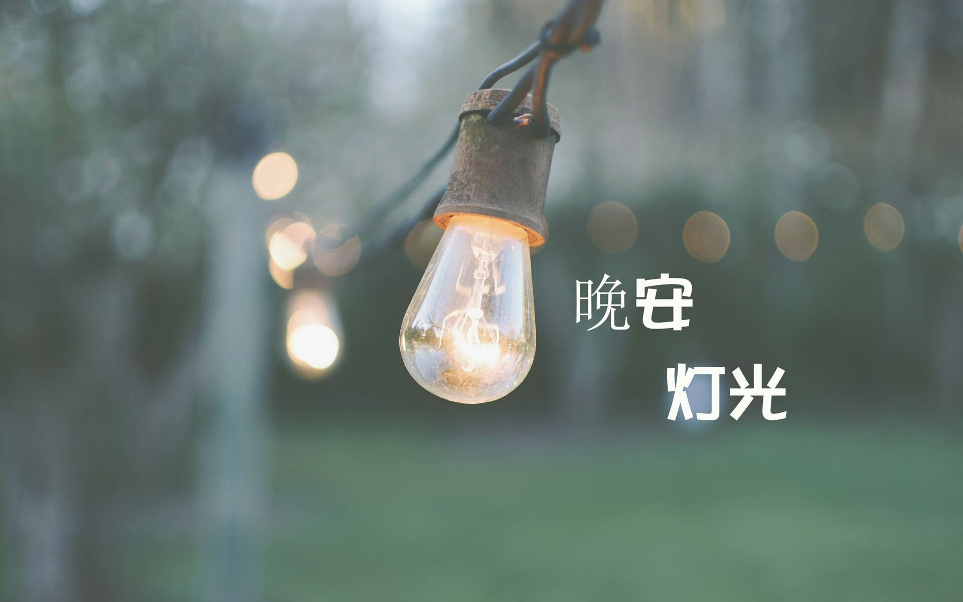隔岸观火!锡安眼神锁定逆转时刻—观战席上的关键先生如何点燃绿军战意