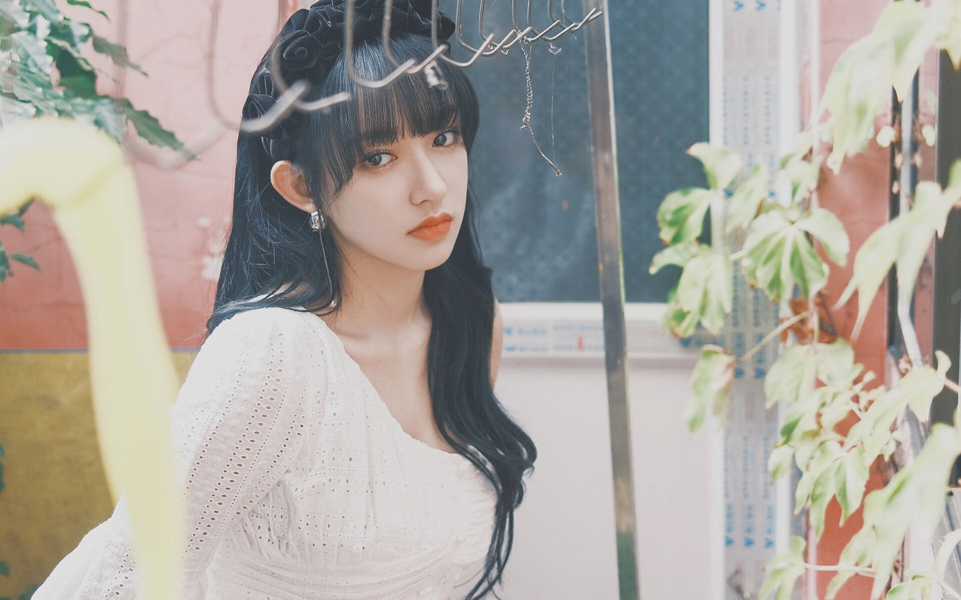 孤星耀世,2026世界杯D组,孙兴慜如何以一己之力改写厄瓜多尔与葡萄牙的宿命对决