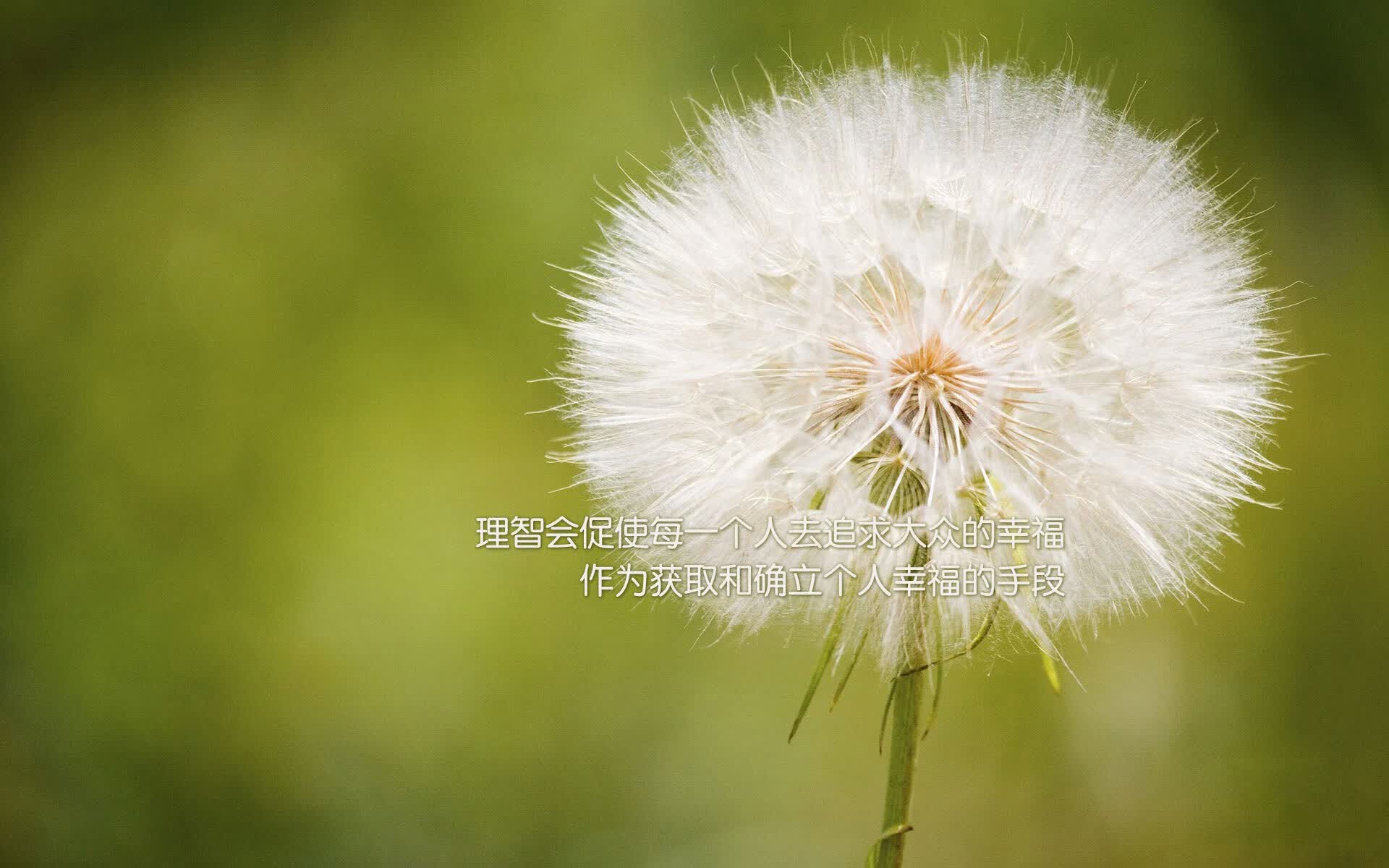 孤注一掷,2026世界杯四分之一决赛,捷克与乌兹别克斯坦的宿命交锋,吉鲁的最后一舞